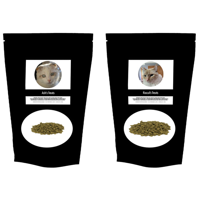 Cats of the Month Treats — January/February